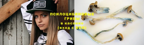 прущие грибы Лиски