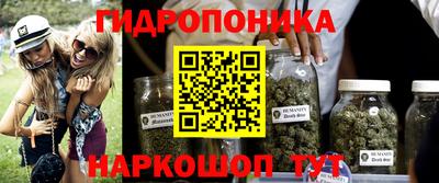 гашиш Гатчина