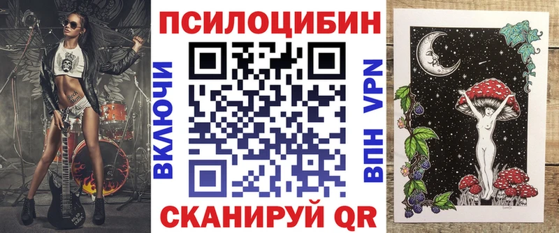 где купить   Дубна  Галлюциногенные грибы Psilocybe 