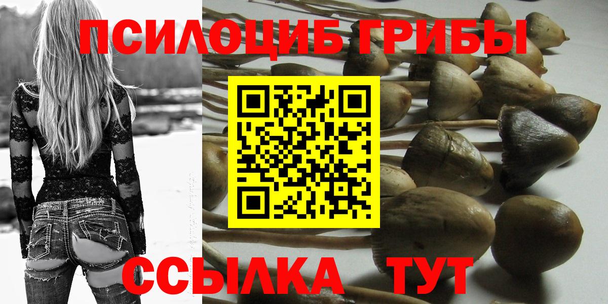 Псилоцибиновые грибы GOLDEN TEACHER  Вход с VPN  Дубна 