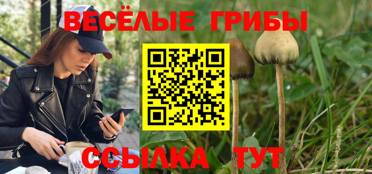 Галлюциногенные грибы мицелий Дубна