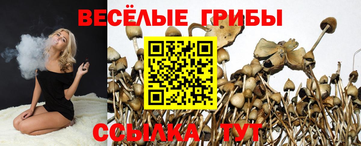 Псилоцибиновые грибы MAGIC MUSHROOMS  Дубна 