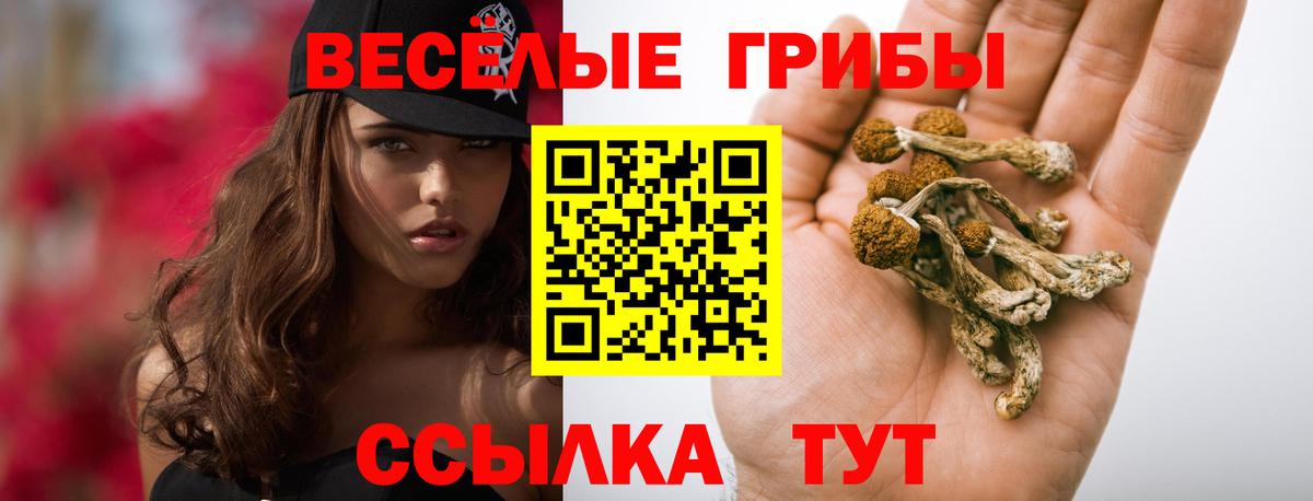 Псилоцибиновые грибы ЛСД Дубна