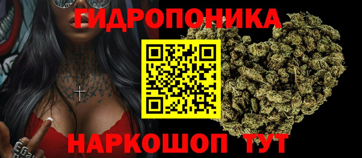 Дубна  Конопля ГИДРОПОН  Канабис сатива  Вход с VPN  Марихуана марихуана 